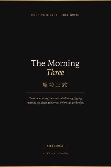 Cover of The Morning Three